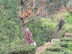 -樱桃山旅游景区