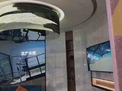 -Hopo Snow 城市滑雪空间(来福士广场购物中心店)