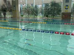 -七彩阳光游泳俱乐部(江北远洲店)