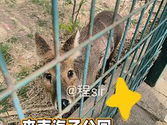 -南海子公园