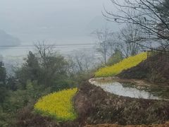 -雷波马湖风景区