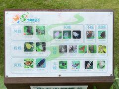 -阳台山森林公园