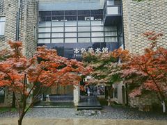 -苏州本色美术馆