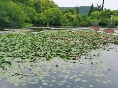 -白马涧龙池景区