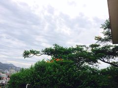 炮台山公园-炮台山公园