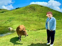 -大姆山草场