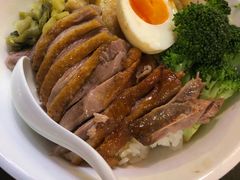 金奖卤鹅肉饭-陈鹏鹏潮汕菜(宝安机场T3航站楼店)