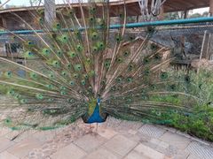 -云南艺术学院(呈贡校区)