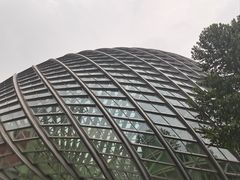 -凤凰中心