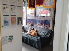 -芭比堂动物医院·心脏科·老年急重症·夜诊·吉雅分院