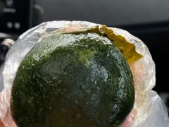 靓丽的青团子-丁莲芳(安吉人民路店)