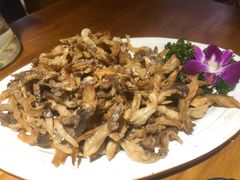 -觅山云南菜(泊富ICITY店)