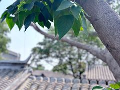 -糖房咖啡(南锣鼓巷店)