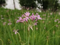 -白鹭湾湿地公园