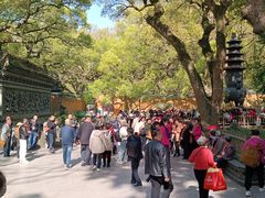 -普陀山风景名胜区-法雨禅寺