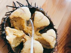 -海胆小馆(东北水饺·春柳店)