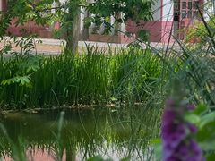 -上海共青森林公园