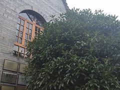 -楠柏弯休闲山庄(梨花溪店)