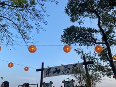 -伴山茶苑·围炉煮茶