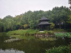 -天目湖山水园