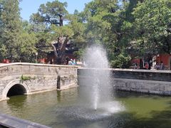 -大觉寺-停车场