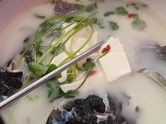 -宝荣鱼馆·临湖之宴(千岛湖店)