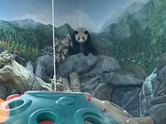-武汉动物园