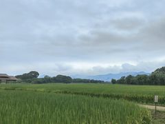 -良渚古城遗址公园