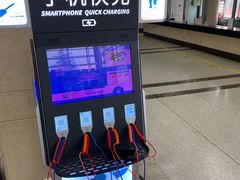 -中国中医科学院望京医院(院本部)