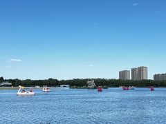 -大兴滨河森林公园