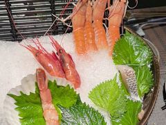 -大葉日本料理·龍蝦任食放題(廣州W酒店)