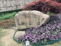 -嘉定紫藤园