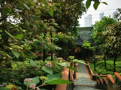 -广州神农草堂中医药博物馆