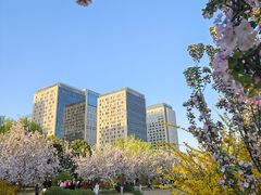 -元大都城垣遗址公园