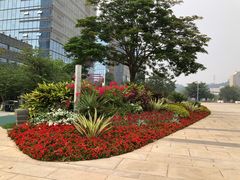 -广州绿地中央广场