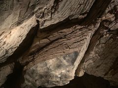 -怀托摩萤火虫洞