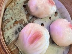 -憶廟街 X 沙角邨(太古城店)