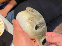 -肆月河豚·新淮扬(金融街店)
