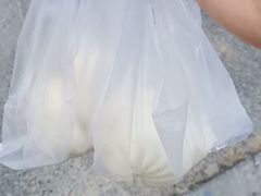 -郑家包子牛肉拉面(尚勤路店)