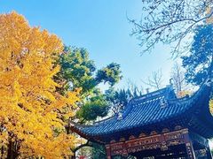 -汇龙潭