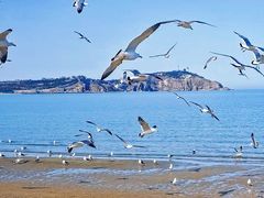 -宝龙广场(蓬莱区)