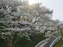 -杭州少年儿童公园