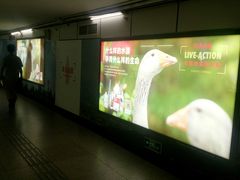 -常熟路(地铁站)