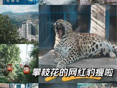 -攀枝花公园