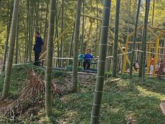 -东明山森林公园