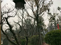 -郑州银基黄帝宫御温泉