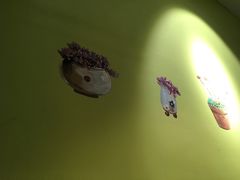 -符淼淼火锅(宽窄巷子店)