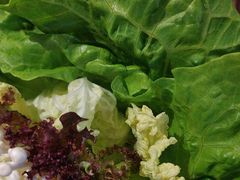 -刘一锅筋头巴脑(王府井店)