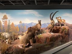 -陕西自然博物馆