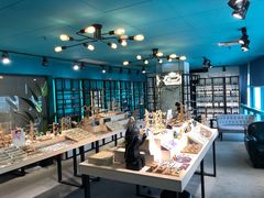 -Trend1881视光·蔡司视觉(领展广场店)
